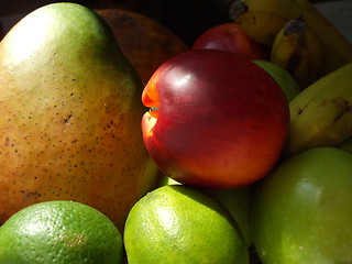 Image showing Group of Fruits