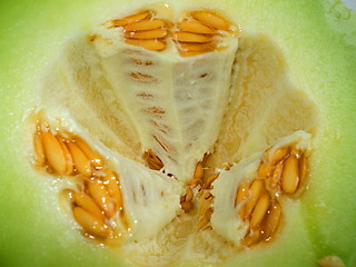 Image showing Honeydew Melon