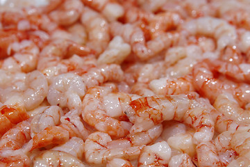 Image showing Raw fresh shrimps on the market