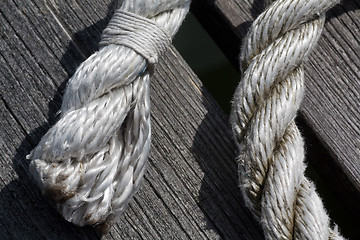 Image showing rope ends