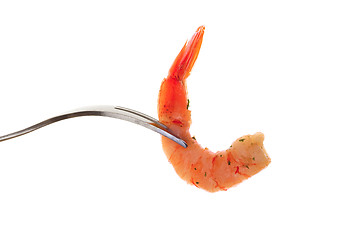 Image showing Jumbo shrimp