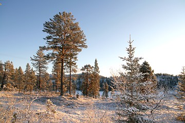 Image showing Mountain landscape