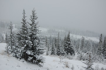 Image showing Cold winter day