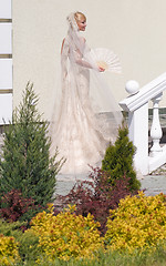 Image showing Bride in the garden