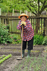 Image showing Senior woman gardening