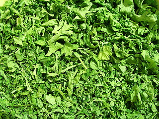 Image showing parsley