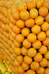 Image showing Oranges