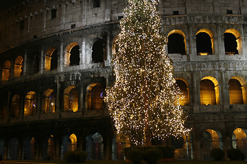 Image showing Colosseo with a christmas tree at night (Rome, Italy)