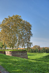 Image showing Defensive Walls of Lucca, Italy, October 2009