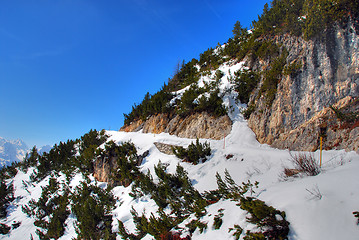 Image showing Alps Winter, Dolomites, Italy, 2007