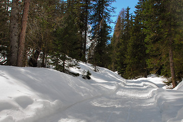 Image showing Alps Winter, Dolomites, Italy, 2007