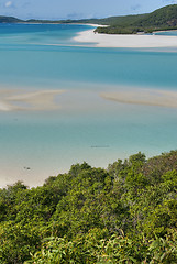 Image showing Whitehaven Beach, Queensland, Australia