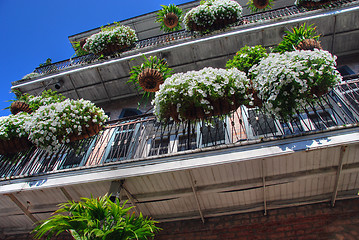 Image showing Streets of New Orleans