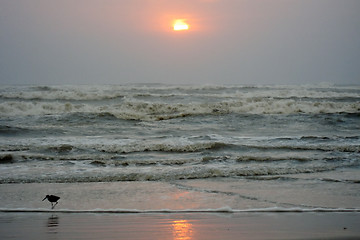 Image showing Sunset in South Padre Island, Texas