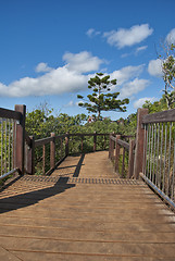 Image showing Jetty on the Whitsunday Islands, Queensland, Australia