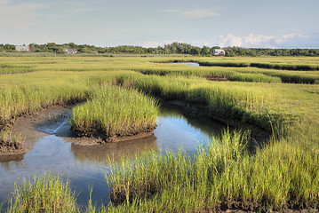 Image showing New York Countryside, August 2007