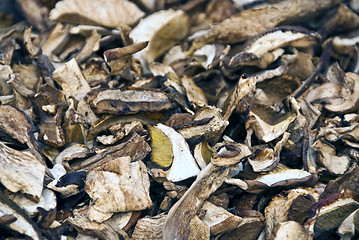 Image showing Dried Boletus Mushrooms, Lucca, Italy