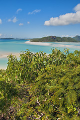 Image showing Whitehaven Beach, Queensland, Australia