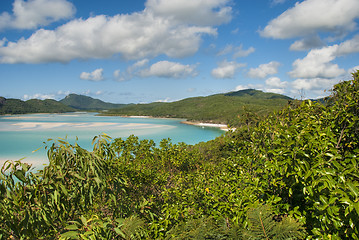 Image showing Whitehaven Beach, Queensland, Australia