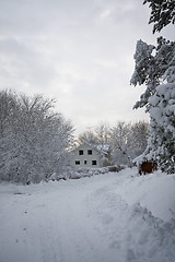 Image showing Wintertime