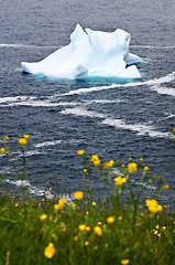 Image showing Melting iceberg