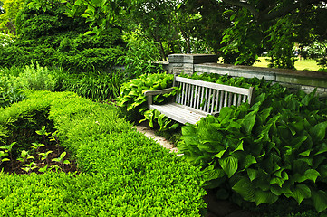 Image showing Lush green garden