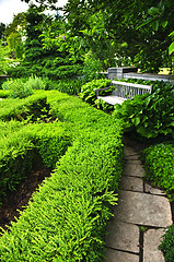 Image showing Lush green garden