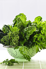 Image showing Dark green leafy vegetables in colander