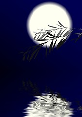 Image showing Moonlight Night