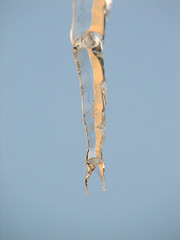 Image showing Icicle