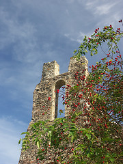 Image showing Potstejn Castle