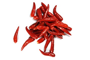 Image showing  Spicy red chilipper