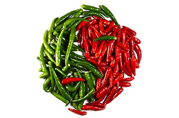 Image showing spicy in-jan