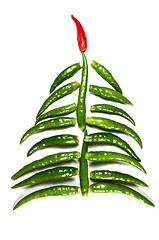 Image showing Chili New Year Tree