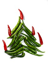 Image showing Chili New Year Tree