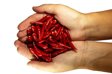 Image showing Hot chili pepper in the hands