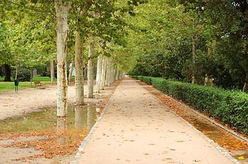 Image showing Park alley