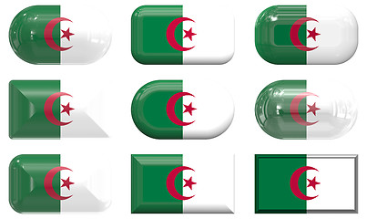 Image showing nine glass buttons of the Flag of algeria