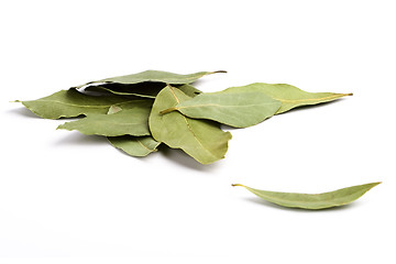 Image showing bay leaves