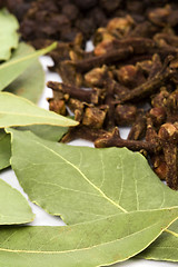 Image showing bay leaves, cloves and black pepper