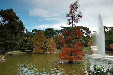 Image showing Autumn park