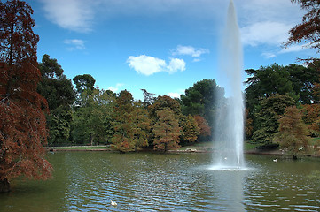 Image showing Autumn park