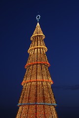 Image showing Beautiful tall Christmas tree (at sunset)