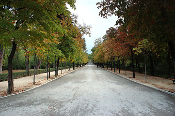 Image showing Park alley