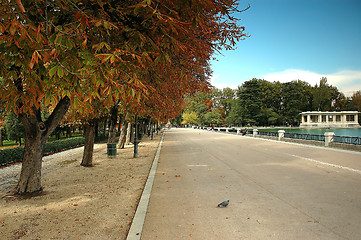 Image showing Park alley