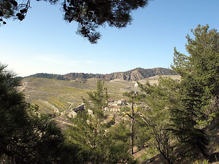 Image showing Trees and mountains. Amiantos. Cyprus