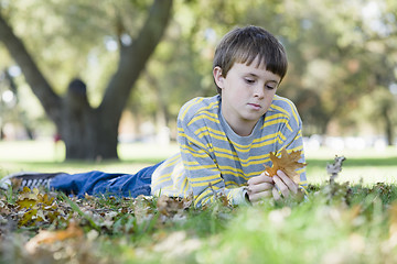 Image showing Young Boy in Park