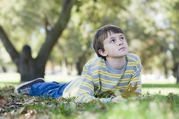 Image showing Young Boy in Park