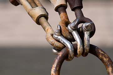 Image showing Pattern of shackle