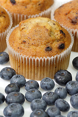 Image showing Blueberry muffins